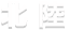 北陸地方